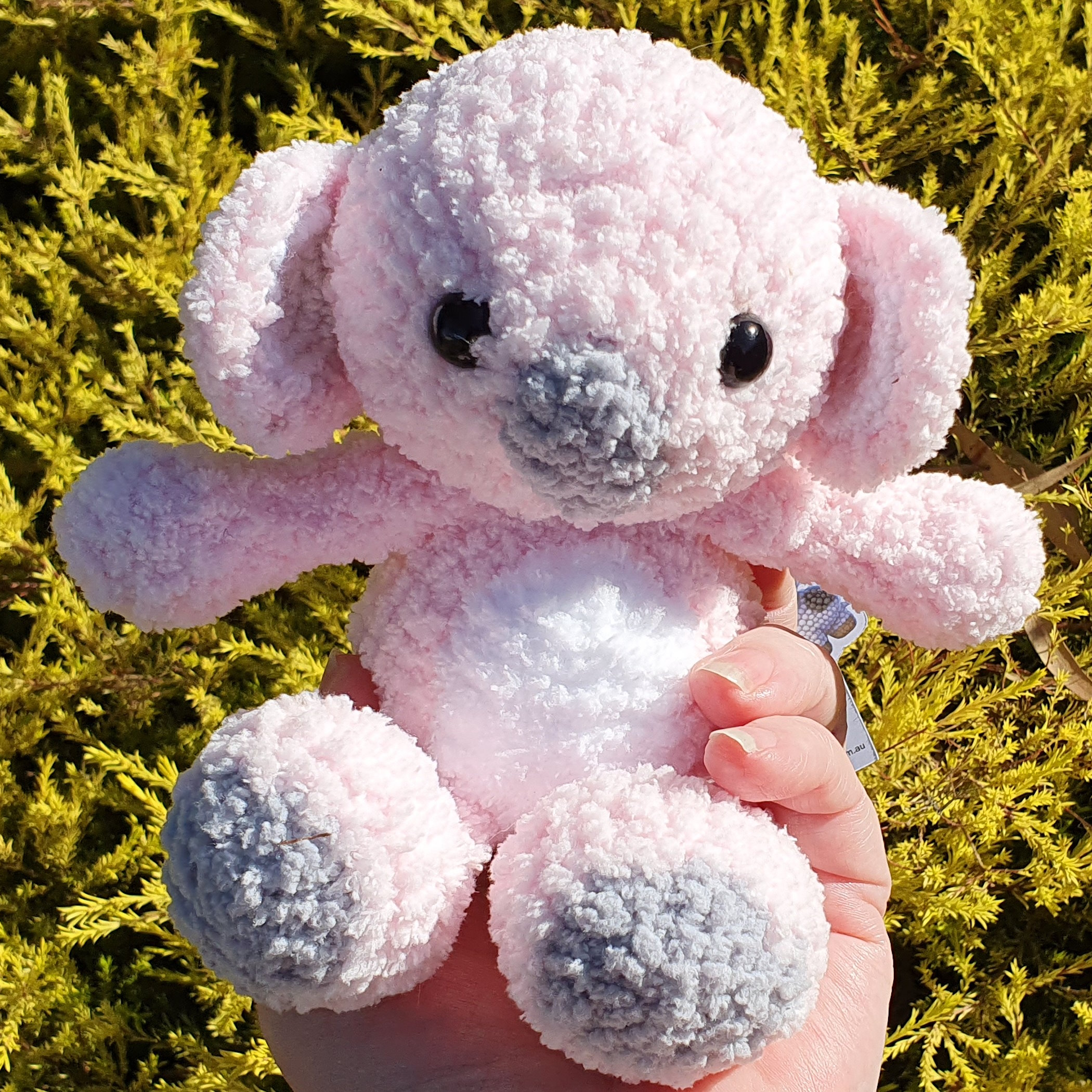 pink koala